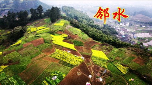 航拍四川鄰水縣,房價比主城區還高,很多人去重慶發展