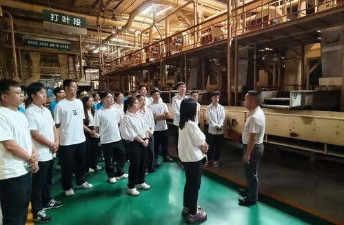 四川涼山州局 公司 新進(jìn)員工到四川煙葉復(fù)烤公司會理復(fù)烤廠交流學(xué)習(xí)