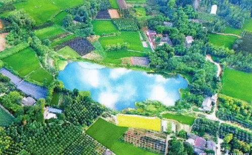 23億負(fù)債壓頂，22年老牌房企申請(qǐng)破產(chǎn)！阜陽房企承壓，四川地產(chǎn)亦現(xiàn)隱憂