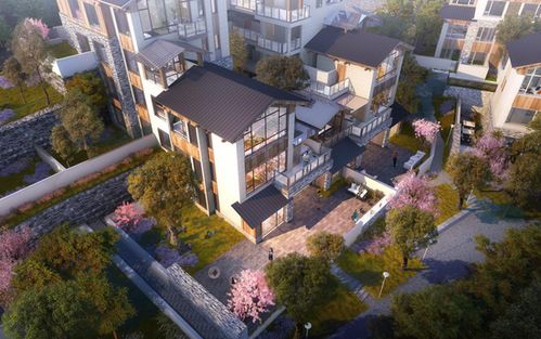 歸原小鎮產品發布會首秀驚艷山城，仙女山度假房地產迎來震撼盛會